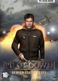 Pilot Down: Behind Enemy Lines: Читы, Трейнер +6 [dR.oLLe]