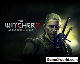 The witcher 2: assassins of kings (pc/2011/Rus/Eng)