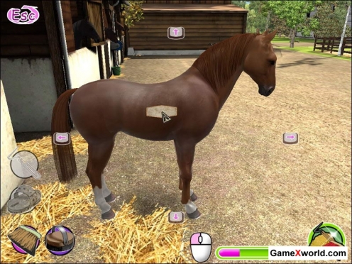 Лошадь моей мечты: вперед к победе! / my gallops 3d (2009) pc. Скриншот №3